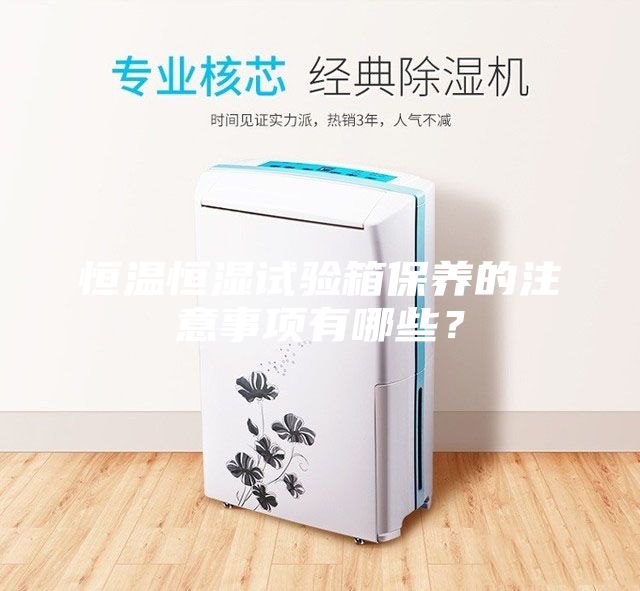 恒溫恒濕試驗箱保養(yǎng)的注意事項有哪些？