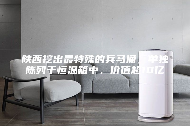 陜西挖出最特殊的兵馬俑，單獨陳列于恒溫箱中，價值超10億