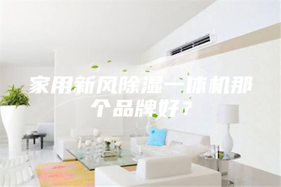 家用新風(fēng)除濕一體機(jī)那個品牌好？