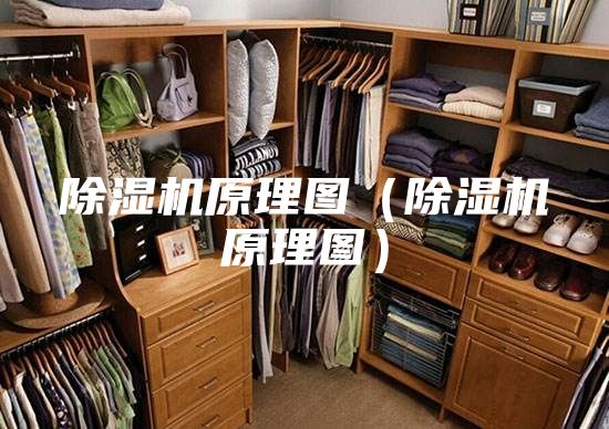 除濕機(jī)原理圖(除濕機(jī)原理圖)