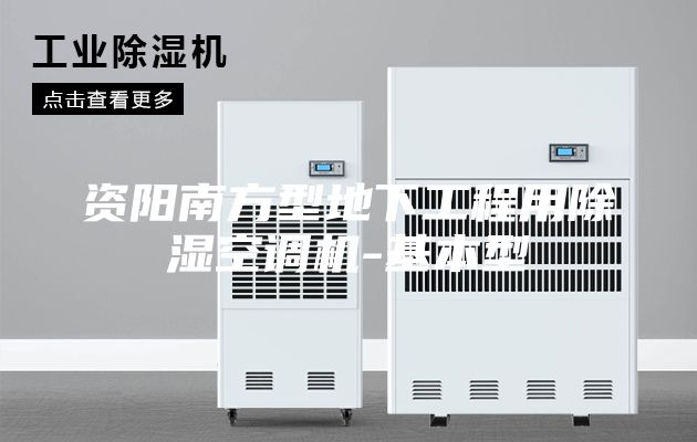 資陽南方型地下工程用除濕空調(diào)機-基本型