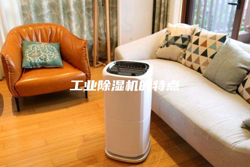 工業(yè)除濕機的特點