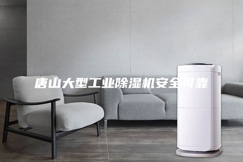 唐山大型工業(yè)除濕機安全可靠
