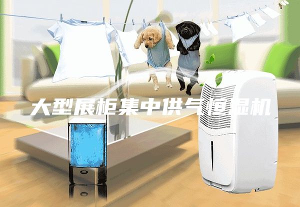 大型展柜集中供氣恒濕機(jī)