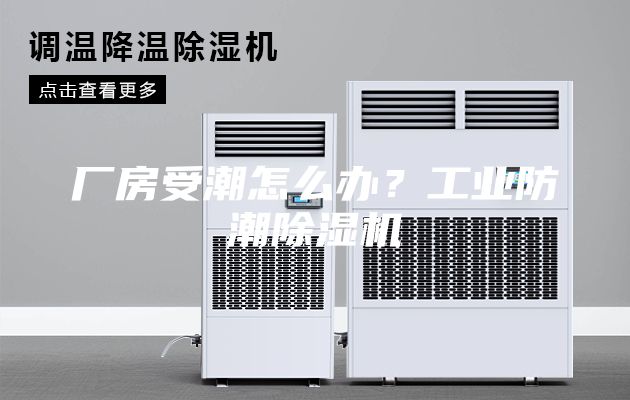 廠房受潮怎么辦？工業(yè)防潮除濕機