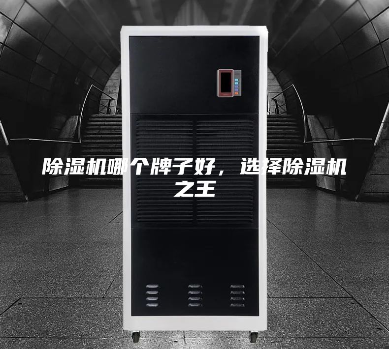 除濕機(jī)哪個(gè)牌子好，選擇除濕機(jī)之王