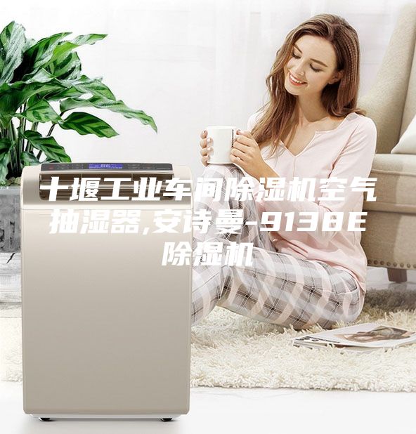 十堰工業(yè)車間除濕機(jī)空氣抽濕器,安詩(shī)曼-9138E除濕機(jī)
