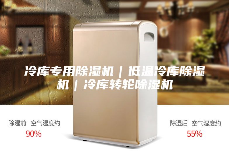 冷庫專用除濕機｜低溫冷庫除濕機｜冷庫轉(zhuǎn)輪除濕機