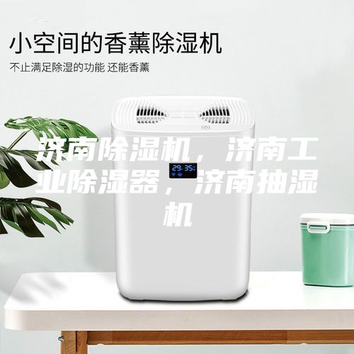 濟南除濕機，濟南工業(yè)除濕器，濟南抽濕機