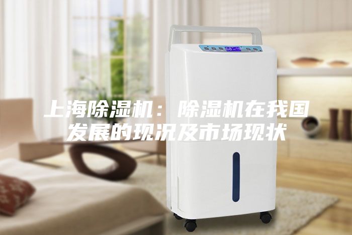 上海除濕機(jī):除濕機(jī)在我國(guó)發(fā)展的現(xiàn)況及市場(chǎng)現(xiàn)狀