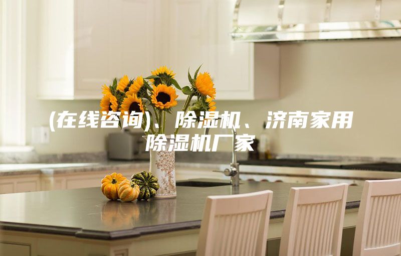 (在線咨詢)、除濕機(jī)、濟(jì)南家用除濕機(jī)廠家
