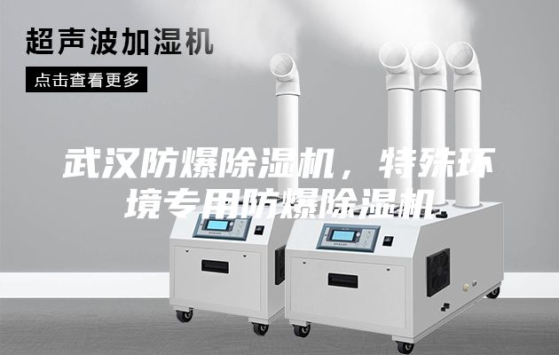 武漢防爆除濕機(jī)，特殊環(huán)境專用防爆除濕機(jī)