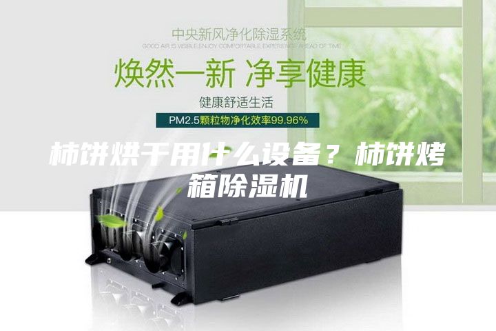 柿餅烘干用什么設(shè)備？柿餅烤箱除濕機(jī)