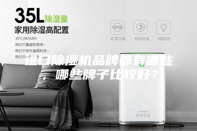 進(jìn)口除濕機(jī)品牌都有哪些，哪些牌子比較好？