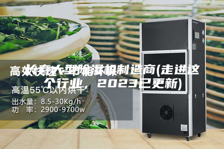 長春大型除濕機(jī)制造商(走進(jìn)這個(gè)行業(yè)，2023已更新)