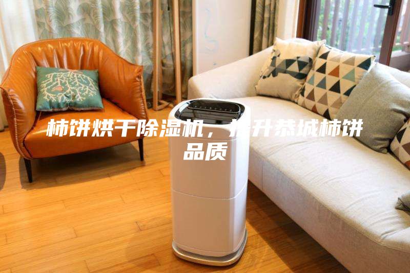 柿餅烘干除濕機，提升恭城柿餅品質(zhì)