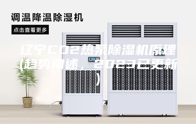 遼寧CO2熱泵除濕機原理(趨勢闡述，2023已更新)