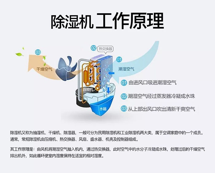 木質家具如何防潮防霉，安詩曼給您支招