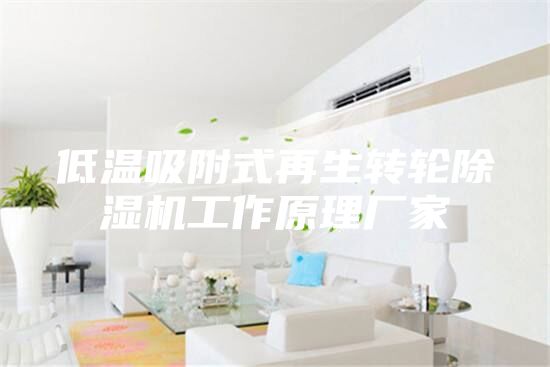 低溫吸附式再生轉(zhuǎn)輪除濕機(jī)工作原理廠(chǎng)家