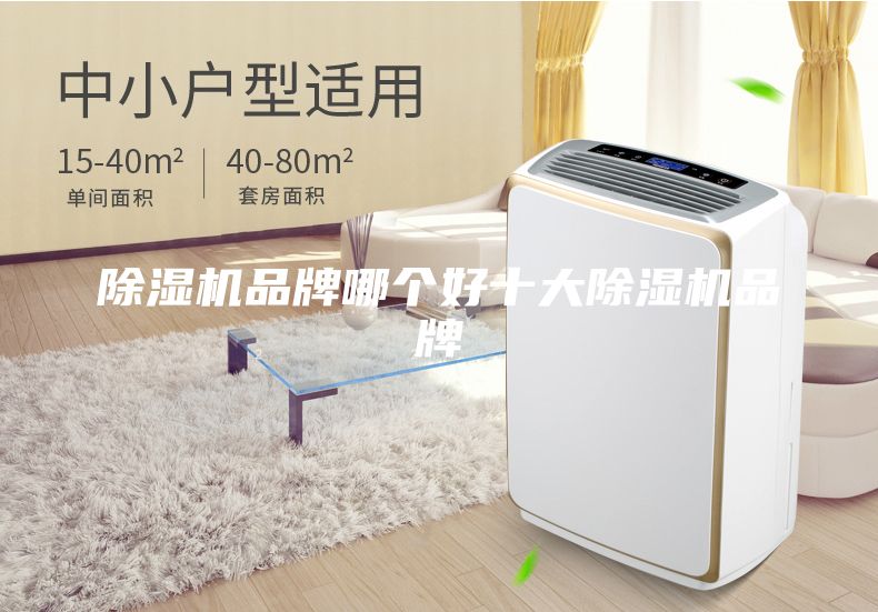 除濕機(jī)品牌哪個好十大除濕機(jī)品牌
