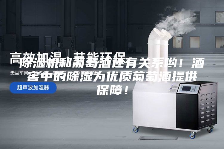 除濕機(jī)和葡萄酒還有關(guān)系喲！酒窖中的除濕為優(yōu)質(zhì)葡萄酒提供保障！