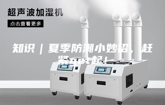 知識｜夏季防潮小妙招，趕緊get起！