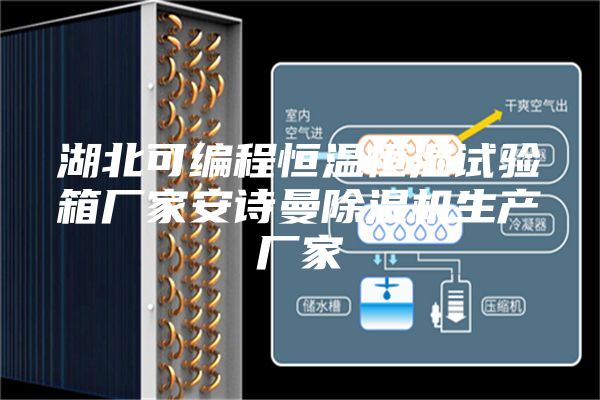 湖北可編程恒溫恒濕試驗(yàn)箱廠家安詩(shī)曼除濕機(jī)生產(chǎn)廠家