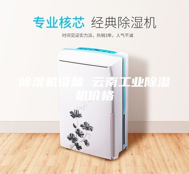 除濕機設(shè)備 云南工業(yè)除濕機價格