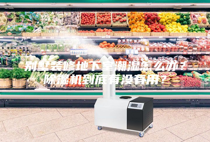 別墅裝修地下室潮濕怎么辦？除濕機(jī)到底有沒有用？