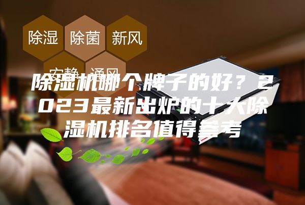 除濕機(jī)哪個牌子的好？2023最新出爐的十大除濕機(jī)排名值得參考