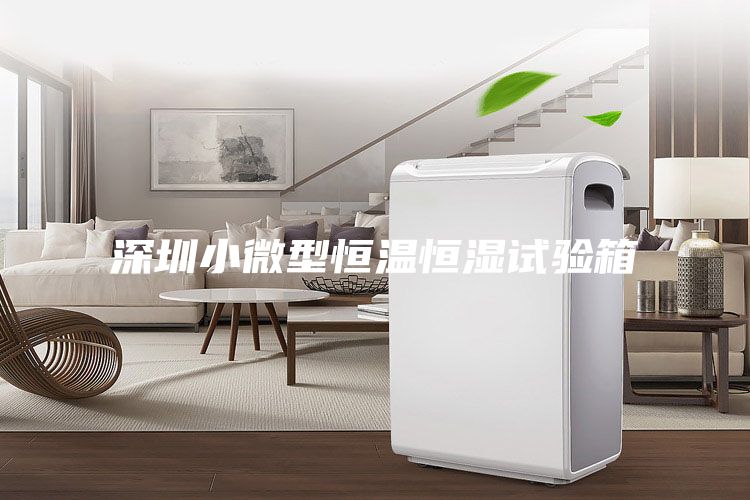 深圳小微型恒溫恒濕試驗箱