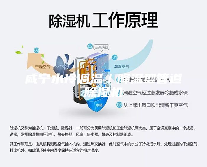 咸寧水冷調(diào)溫／降溫型管道除濕機