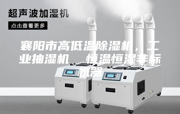 襄陽(yáng)市高低溫除濕機(jī)，工業(yè)抽濕機(jī)  恒溫恒濕非標(biāo)機(jī)器