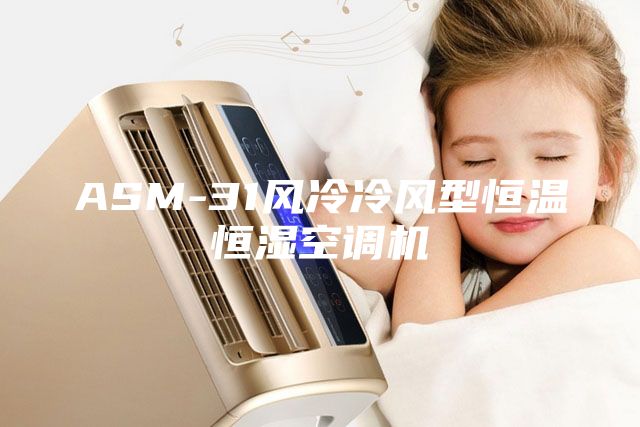 ASM-31風(fēng)冷冷風(fēng)型恒溫恒濕空調(diào)機