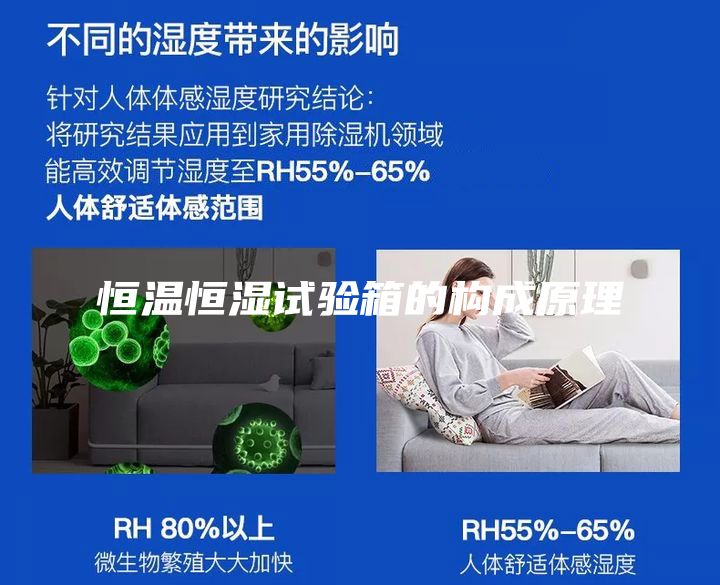 恒溫恒濕試驗箱的構(gòu)成原理