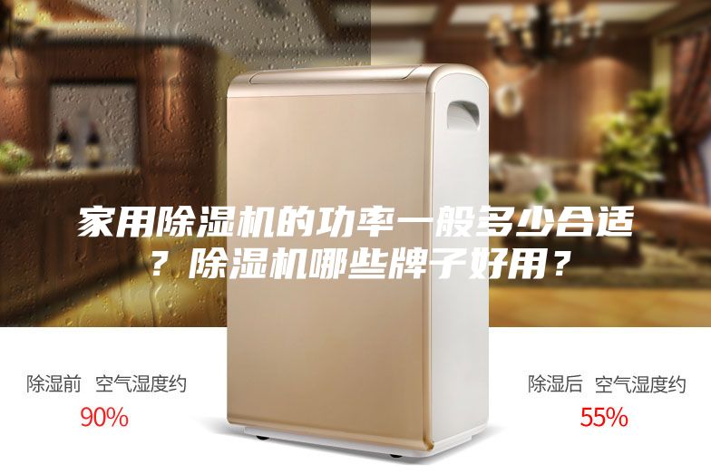 家用除濕機的功率一般多少合適？除濕機哪些牌子好用？