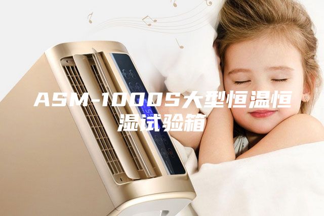 ASM-1000S大型恒溫恒濕試驗(yàn)箱