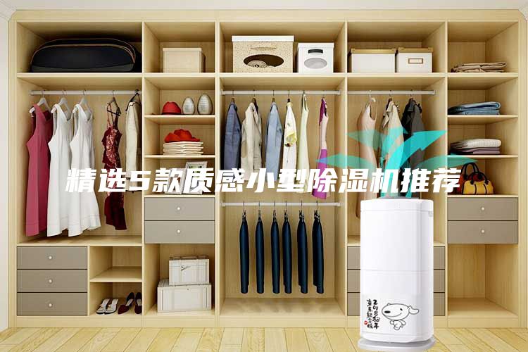 精選5款質(zhì)感小型除濕機推薦