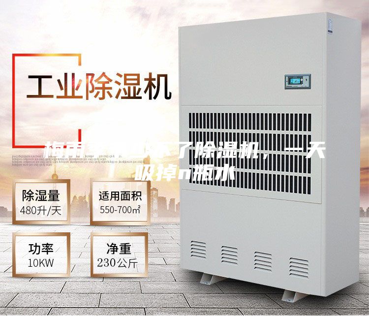 梅雨季節(jié)少不了除濕機(jī)，一天吸掉n瓶水