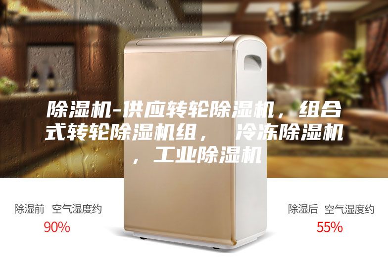 除濕機(jī)-供應(yīng)轉(zhuǎn)輪除濕機(jī)，組合式轉(zhuǎn)輪除濕機(jī)組， 冷凍除濕機(jī)，工業(yè)除濕機(jī)