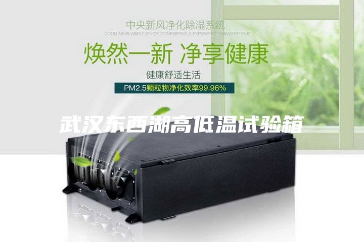 武漢東西湖高低溫試驗箱
