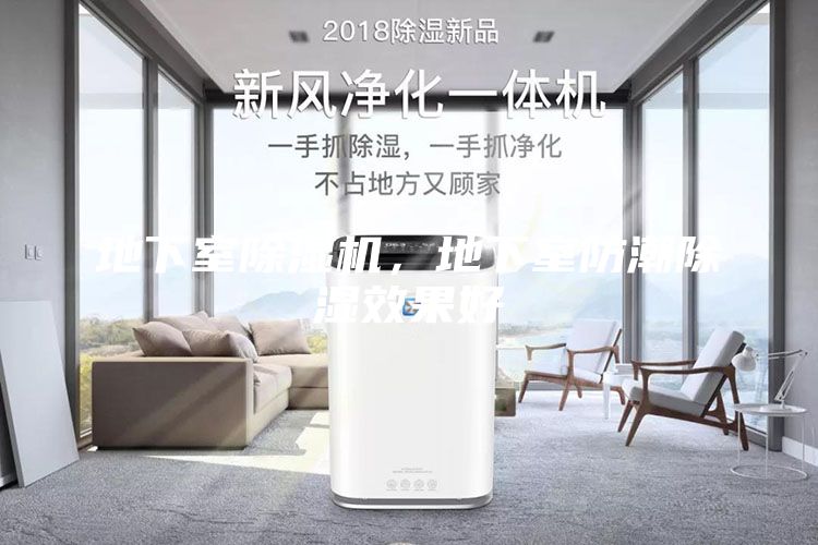 地下室除濕機(jī)，地下室防潮除濕效果好