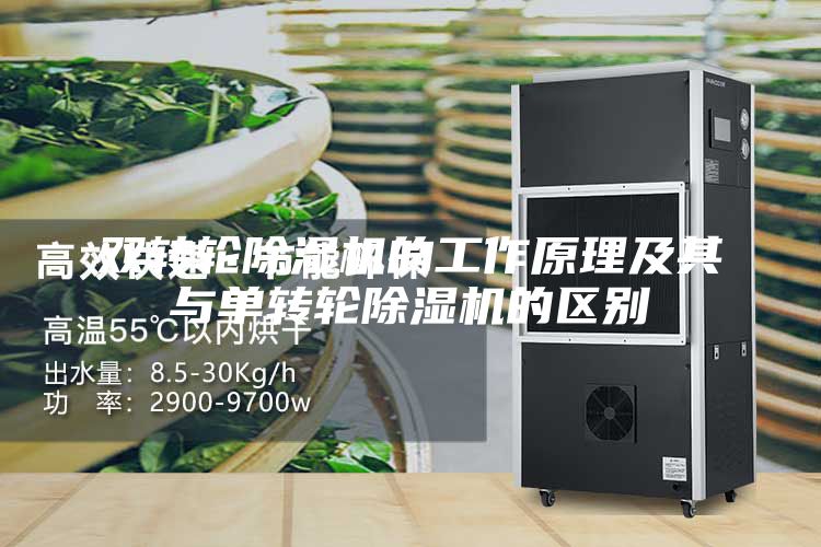 雙轉(zhuǎn)輪除濕機的工作原理及其與單轉(zhuǎn)輪除濕機的區(qū)別