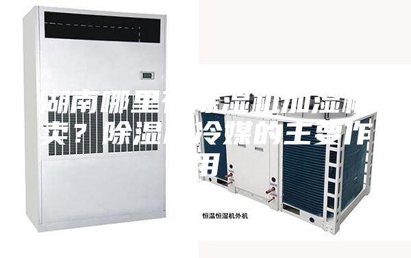 湖南哪里有除濕機加濕機賣？除濕機冷媒的主要作用