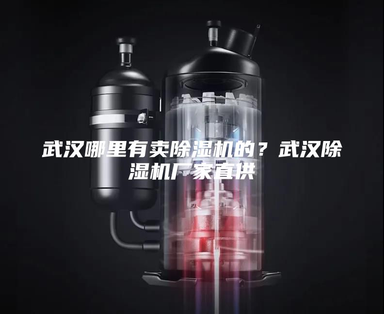 武漢哪里有賣除濕機(jī)的？武漢除濕機(jī)廠家直供