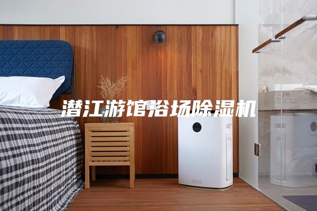 潛江游館浴場除濕機(jī)