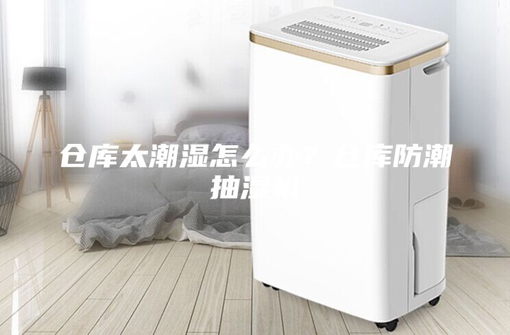 倉(cāng)庫(kù)太潮濕怎么辦？倉(cāng)庫(kù)防潮抽濕機(jī)