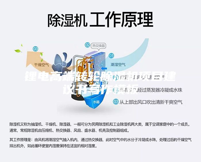 鋰電高端轉(zhuǎn)輪除濕機(jī)項(xiàng)目建議書寫作模板