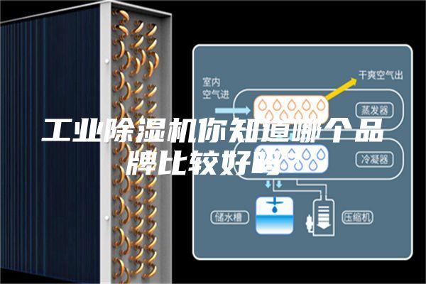 工業(yè)除濕機你知道哪個品牌比較好嗎？