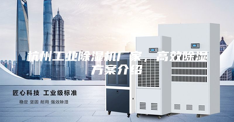 杭州工業(yè)除濕機(jī)廠家，高效除濕方案介紹